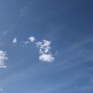 Meet your Posher, Mari